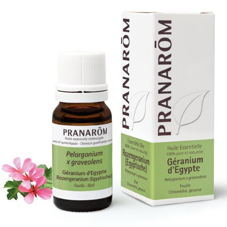 he-frnl20-geranium-egypte-rozengeranium-egyptische-10ml-pranarom-01