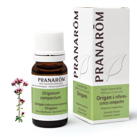 he-frnl20-origan-oregano-10ml-pranarom-01