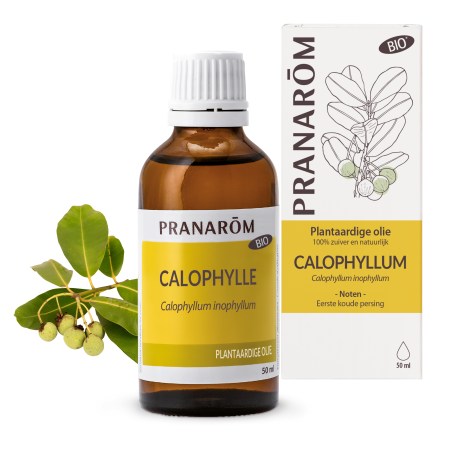nl22-plantaardige-olie-calophylle-bio-pranarom-01
